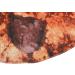 Topincn Cookie Ceiling for Adults - Stylish Flannel Comfortable & Funny Pub Ceiling Decor - Buy Online on GoSupps.com