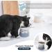 Tamaykim Ceramic Tilted Raised Cat Bowls Set - 8 oz Food and Water Dishes for Kitties - Porcelain Elevated Pet Dish, Set of 2 Orange & Blue - Buy Online on GoSupps.com