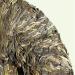 HELLOYOUNG 400g Th Pu-erh cru biologique chinois Old-Tree Aliment vert avec un corps moelleux et sans additifs - Buy Online on GoSupps.com