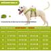 BELPRO Multi-Purpose Dog Harness for Large Dogs - Escape Proof No Pull Adjustable Reflective Vest with Durable Handle (Green L) - Perfect for Active Dogs - Buy Online on GoSupps.com