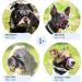 Gentle Muzzle Guard for Dogs - Prevents Biting and Unwanted Chewing Safely New Secure Comfort Fit - Soft Neoprene Padding No More Chafing Included Training Guide Helps Build Bonds with Pet (S+ Pink) Pink S+ (Pack of 1) - Buy Online on GoSupps.com