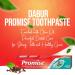 Dabur Promise Toothpaste - Cavity Protection with Calcium Fluoride & Clove Oil | 154g - Buy Online Globally - Buy Online on GoSupps.com