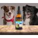 PROGENA Allergena For Pets 1oz - Natural Relief for Pet Allergies - Buy Online on GoSupps.com
