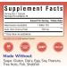 Akkermansia Muciniphila Probiotic 1 Billion TFU w/Natural Prebiotic Inulin Naturally Increases GLP-1 Healthy Digestion & Metabolism Probiotic Supplement for Women & Men 30 Capsules 30 Count (Pack of 1) - Buy Online on GoSupps.com