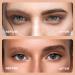 Ainviata 2PCS Liquid Eyebrow Pencil with Micro-Fork Tips - Waterproof & Smudge-proof Brow Pen for Natural Looking Eyebrows in Chestnut & Gray Brown - Buy Online on GoSupps.com
