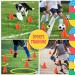Dazzling Toys Mini Traffic Cones - 7 Pack of Orange Sports Safety Cones for Soccer and Basketball Practice - Buy Online on GoSupps.com