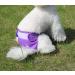 JoyDaog Reusable Dog Diapers for Female & Small Dogs - Size S 4 Pack in Solid Colors - Buy Online on GoSupps.com