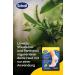 Shop Scholl EC Intensive Nourishing Foot Mask Bundle - 6 x 1 Pair Urea & Lime - Moisturizing Care for Soft Feet - Buy Online on GoSupps.com