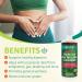 Aloe Life Whole Leaf Aloe Vera Juice Concentrate 32 oz | Organic Cherry Berry Flavor | Supports Digestion & Energy | Antioxidant Rich | Gluten-Free - Buy Online on GoSupps.com
