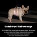 Huntboo Safety Harness for Small Dogs - Reflective Adjustable Durable Vest for Escape Artists - Blue (Size S) - Perfect for Walks - Buy Online on GoSupps.com