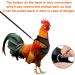 Molain Adjustable Chicken Harness with Leash | Breathable Chicken Vest for Ducks & Hens (2-11 lb) - Comfortable Training Mesh Dish - Buy Online on GoSupps.com