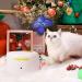 Interactive Cat Toy - All For Paws Flutter Bug Wand with Motion-Activated Butter-fly - Buy Online on GoSupps.com