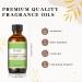 Cucumber Melon Fragrance Oil 60ml - Premium Grade Aromatherapy Essential Oil for Diffusers & Candle Making - EUQEE - Pack of 1 - Buy Online on GoSupps.com