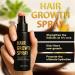 Tanxemery Hair growth spray 50 ml hair growth accelerates hair growth accelerates hair growth serum prevents hair loss hair oil growth beard growth soft dry - Buy Online on GoSupps.com