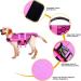 Cit toile Dog Life Jacket - Shark Design Mermaid Tail Pink 2XL XXL - Perfect for Small Medium & Large Dogs - International Shipping Available! - Buy Online on GoSupps.com