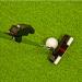 ACHIX Golf Putter Laser Pointer for Swing Practice and Posture Correction - Buy Online on GoSupps.com
