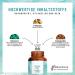 Buy Nature Loyal High-Dose Ashwagandha & Rhodiola Capsules - 500mg Vegan No Additives - 120 Count | Comparison Winner 2020 - Buy Online on GoSupps.com