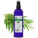 VOSHUILES - Hydrolat de Tea Tree COSMOS - Eau Florale Arbre Th Purifiante et Apaisante pour Soins de la Peau et Cheveux - 100% Pur et Naturel - 200 ml Tea Tree BIO 200 ml (Lot de 1)