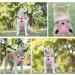 Eyin Large Dog Harness - Adjustable Breathable Reflective & Padded for Daily Training | Pink (L) - Neck 42-60cm Chest 47-86cm - Buy Online on GoSupps.com