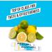 Revival Rapid Rehydration Electrolytes Powder - High Strength Vitamin C B1 B3 B5 B12 Supplement - 6 Pack Lemon Lime Sachets - Buy Online on GoSupps.com
