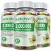 (3 Pack) High Potency Hemp Gummies by LUCKCHAN - 2,000,000 XXL Extra Strength - Natural Edibles Fruity Gummy with Organic Hemp Oil - Vegan, Non-GMO, Made in USA 3-Pack