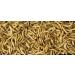 Buy Jr Farm Garden Mealworms 400g Bucket - Premium Quality for Birds & Reptiles | International Shipping Available - Buy Online on GoSupps.com