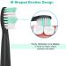 Relax Artist Replacement Heads for Fairywill Electric Toothbrush - 8 Pack Green - Compatible with FW-507/508/551/515/917/959/2011 FW-D1/D3/D7/D8 - Buy Online on GoSupps.com