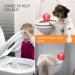Baby Toilet Lock | Child-Safe Toilet Seat Lock | Easy Installation & Use for Bathroom Safety - Buy Online on GoSupps.com