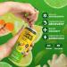 Golden Tiger Organic Sparkling Turmeric Lemonade with Green Tea - 12 Cans | Bio Active Curcumin + Ginger | Plant Based Immunity & Recovery Support - Buy Online on GoSupps.com