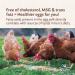 Buy Manna Pro Ultimate Scratch Chicken Feed - Nutrient Rich Treats, 10 LB - Buy Online on GoSupps.com