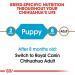 Royal Canin Chihuahua Puppy Dry Dog Food 1.5kg - Buy Online on GoSupps.com