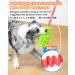 Buy Schitec Interactive Dog Toys - Training Rope & Squeaky Dashy Toys for All Dog Sizes | Fun & Durable Chenille Design - Buy Online on GoSupps.com