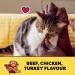 TEMPTATIONS Mix-Ups Cat Treats (Chicken Turkey & Beef Flavour) 454g Tub Cat Treats Chicken - Turkey - Beef 454 g (Pack of 1) - Buy Online on GoSupps.com