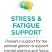 Natural Factors 3 Brains Serene Mind - 120 Vegetarian Capsules for Calming Support - Buy Online on GoSupps.com