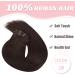Vlasy Clip in Hair Extensions 16 Inch 2# Chocolate Brown - 7 Piece Seamless Real Human Hair Clip ins for Women - Buy Online on GoSupps.com