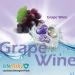 UNfilthy Concentrated Grape Wine Laundry Pacs - 30 Eco-Friendly Pods for Superior Stain Removal | International Shipping Available - Buy Online on GoSupps.com