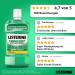 Buy LISTERINE Fresh Mint 600 ml | Antibacterial Mouthwash with Essential Oils for Fresh Breath | International Shipping Available - Buy Online on GoSupps.com