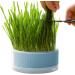 Anulely Cat Grass Plant Container - Earth-Free Sprouter Tray for Indoor Cats & Pets | Stylish Blue Planting Box for Home D cor - Buy Online on GoSupps.com