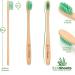 EcoShoots Adults Bamboo Toothbrushes with Firm Bristles | Family Pack of 5 Natural Bamboo Toothbrush | Eco-Friendly Natural Wooden Toothbrush | Organic Biodegradable Handle | BPA Free Tooth Brushes Firm 5 Pack - Buy Online on GoSupps.com