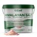 GiDeli GiDeli Himalayas Natural Unrefined Fine Salt from Pakistan for Kitchen Baking Bathroom 3kg