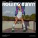 RollingBunny High-Top PU Leather Roller Skates - Women/Girls, White, US 6.5 (W6.5-W7) - Buy Online on GoSupps.com