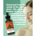 Aztec Secret 100% Pure Jojoba Oil 2 OZ - Deep Hair & Skin Moisturizer - Cold-Pressed and Unfiltered 2 Fl Oz (Pack of 1) - Buy Online on GoSupps.com