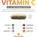 Save $4 (12% off) - Immune Bundle: Black Seed Oil & Immune Support - 120 Capsules - Non-GMO & Vegetarian - Buy Online on GoSupps.com