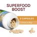 Fungi Perfecti Cordyceps Energy Support - 60 Veg Capsules for Vitality - Buy Online on GoSupps.com