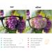 Kinchila Blue Light Blocking Reading Glasses 4 Pack - Fashion Oversized Computer Readers for Women Men, Spring Hinges, Anti UV Ray/Eye Strain/Glare - 1.50 Strength - Mix 1.5 x - Buy Online on GoSupps.com