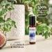 Kinvara Eye Serum for Dark Circles & Puffy Eyes - 10ml Roller-ball Eye Wow! | Fragrance Free Natural Anti Aging Eye Cream with Hyaluronic Acid, Cucumber & Baobab | All Skin Types - Buy Online on GoSupps.com