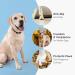 Dog Paw Grips - 24 Pack S - Indoor/Outdoor Paw Protectors for Slippery Floors - Self-Adhesive Traction Pads - Hypoallergenic Black - Buy Online on GoSupps.com