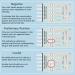 Prime Screen 5 Pack Urine Drug Test Kit - Instantly Test for 5 Drugs AMP, COC, MET, OPI, THC - WDOA-254 - Buy Online on GoSupps.com