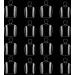 16 False Clear Toe nails in 2 Largest sizes only! 19mm and 18mm wide With Nail Glue - Buy Online on GoSupps.com