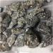 1PC Natural Electroplated Crystal Cluster Crystal Electroplating Titanium Quartz Cluster Stone Natural Quartz Crystal Room Decoration ERTEYIN (Size : 100-150g) - Buy Online on GoSupps.com